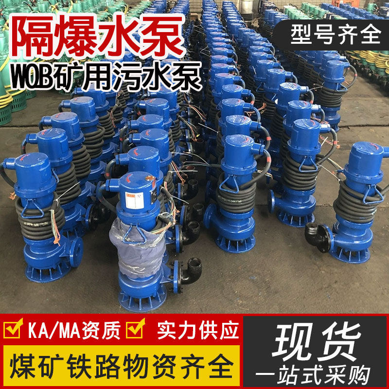 WQB隔爆型潜污水泵高扬程小型潜水排污泵矿用隔爆型潜污水电泵