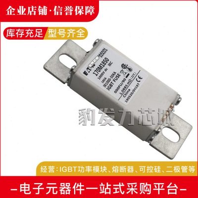 170M2608 170M2609 170M2610 170M2611 170M2612 170M2613熔断器