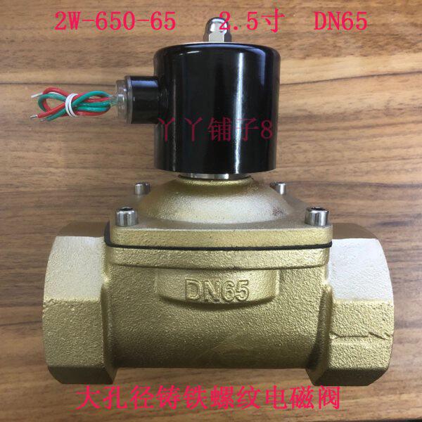 汽车淋水电磁阀大口径2.5寸3寸4寸铸铁螺纹链接DNDN65 DN80 DN100