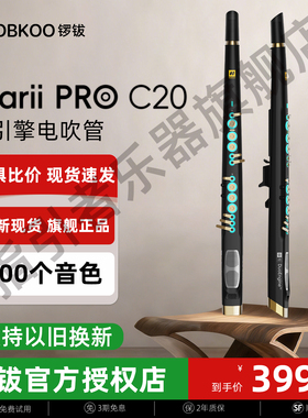 锣钹C20电吹管锣钹clarii pro c20新款电吹管小小笛电吹管乐器