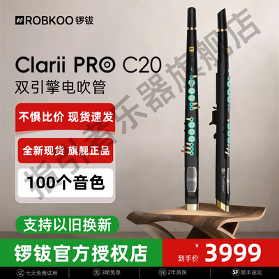 锣钹C20电吹管锣钹clarii pro c20新款电吹管小小笛电吹管乐器