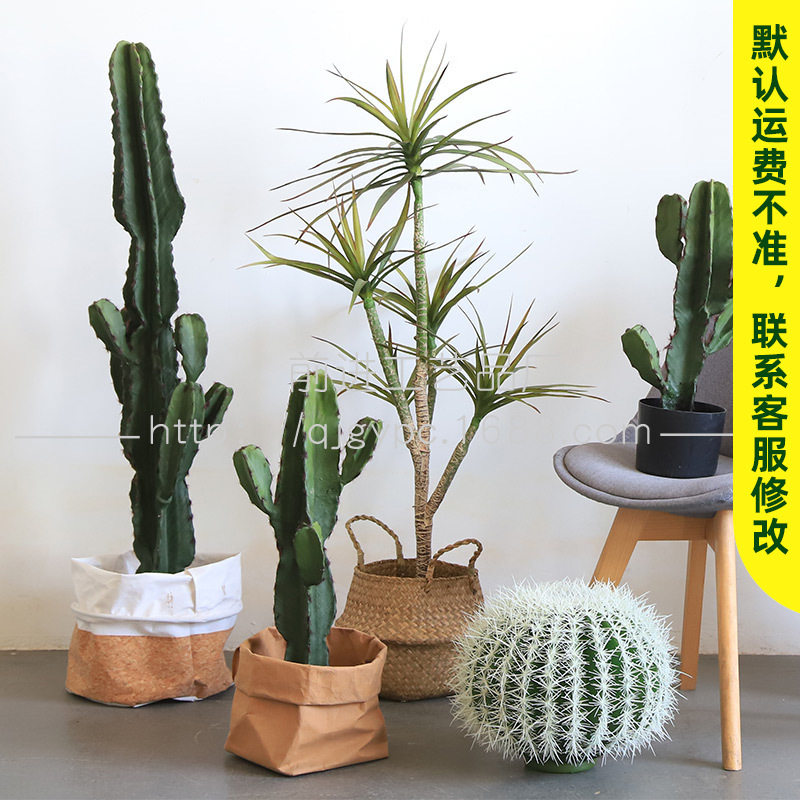 PU量天尺仙人掌多叉仙人掌仿真热带沙漠绿植盆栽橱窗装饰假仙人掌