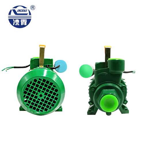 广东凌霄水泵1DB35/45/65家用自吸清水泵增压泵220v抽水机