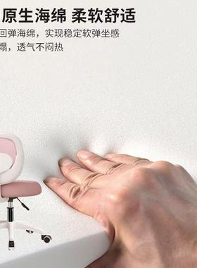 儿童学习椅小学生矫姿正坐可升降电椅脑写椅字家用写作BPK业书桌