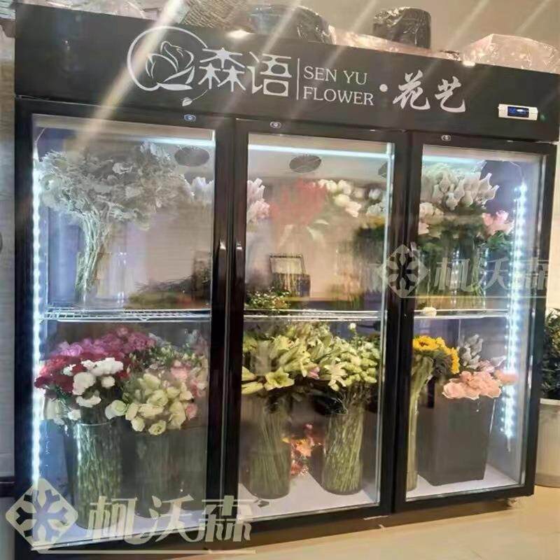 花店双门三门鲜花保鲜柜储存柜展示陈列柜风直冷花艺冰箱商用保鲜