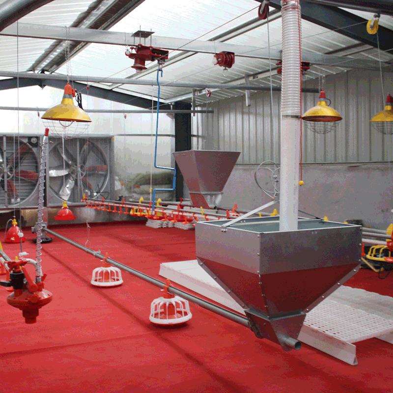 水线料线自动饲养设备厂家指导安装鸡笼喂养设备