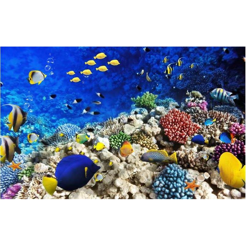 PVC地板地贴3D海洋图案地贴防滑浴室地板贴3DPVC地贴打印厂家