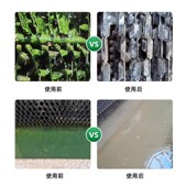 卡洁尔循环水灭藻剂冷却水塔水池除藻景观池青苔去除剂除臭剂