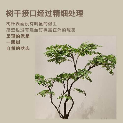 仿真LLY32绿植鸡爪假槭枫摆树装景观造景橱窗商场茶室橱窗植物饰