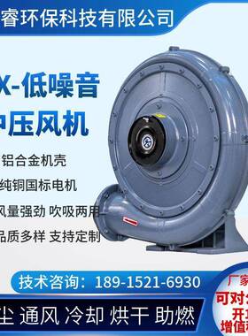 透浦式320压v`中风集玻璃8592工业及冰厂空气泵80v·高压鼓风机