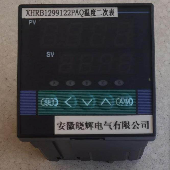 XHRB1299122PAQ温度二次表多分度号输入