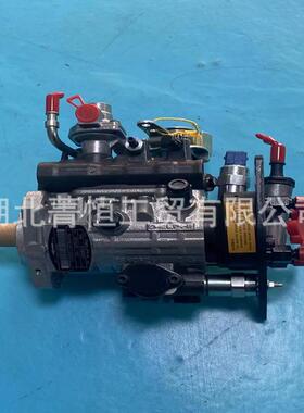 德尔福发动机喷油泵9320A483H