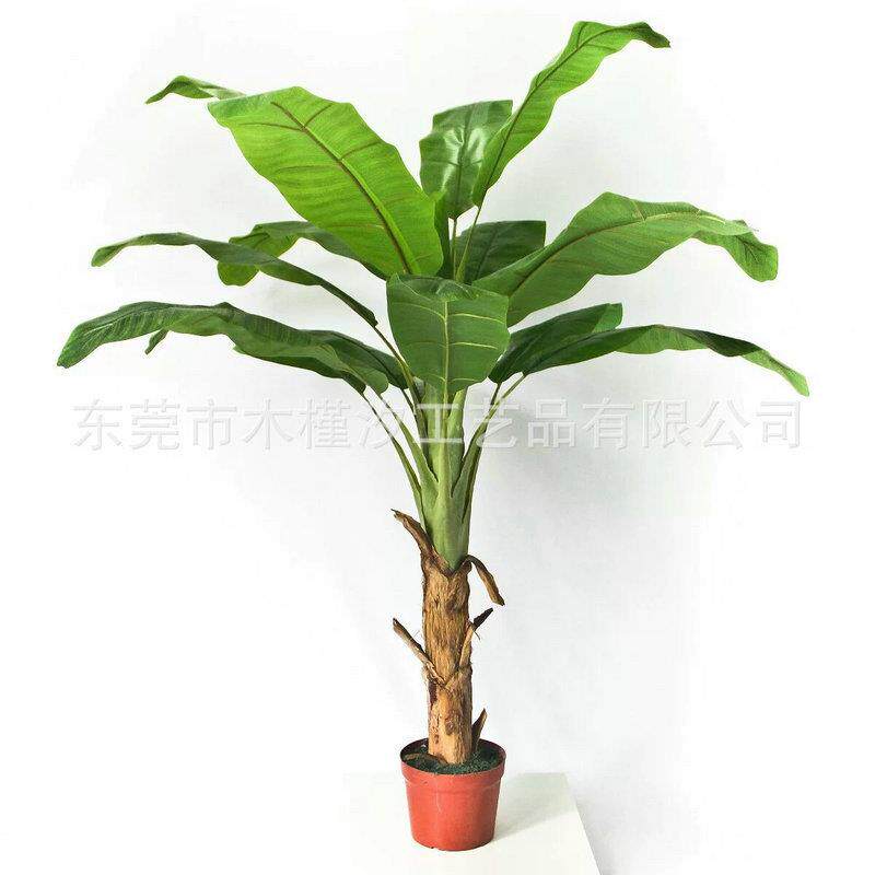 蕉亚马0002逊仿真芭树大型仿香蕉树仿真香蕉树装饰植真物盆栽盆景