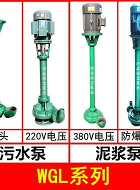 00W1GL立式排污GNT泵地高水坑污泵扬程泥浆泵4寸
