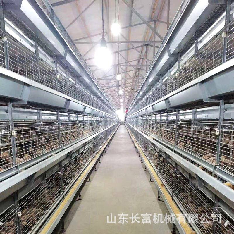 养殖雏WJZ蛋鸡笼全自动立式肉笼鸡鸽子笼鹌鹑自养殖场动喂育料肉