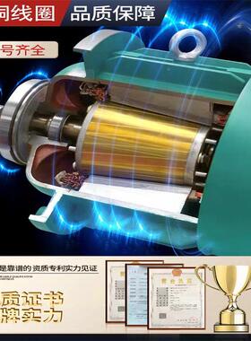 南京ZD/.0/4.IDN5/751/18.K锥.形转子制动机电动葫芦5主起升电机