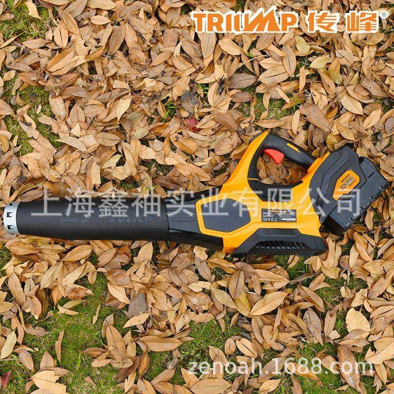 传TPBL6机20562VTPBL充式工业吹风手电提无线锂电吹峰树叶除尘鼓