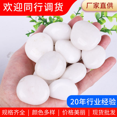 精抛白色鹅卵石 工程铺路石园林造景抛光雨花石别墅景观石鹅卵石
