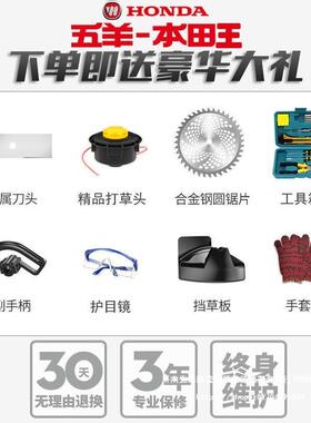 进口锂电草机小型家用除草机大QCH功率多锂功能电园果农割用锄草