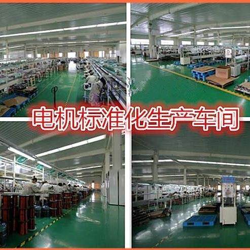 电轮动三车差速电机500W8010W00麦太保0w电机无刷电机有电齿机差