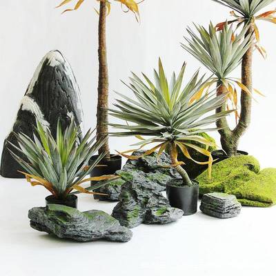 仿真龙UDS舌兰剑兰落热带雨沙漠绿植物工程装饰造景地摆件橱陈窗