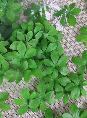 新中式仿真WH3934吊钟叶片叶子单家片吊钟叶林绿色假叶子居园装饰