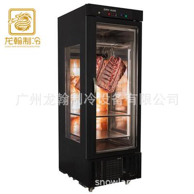 商用牛肉排酸柜 冷冻挂肉柜 猪肉排酸柜 火腿熟成柜meat dry ager
