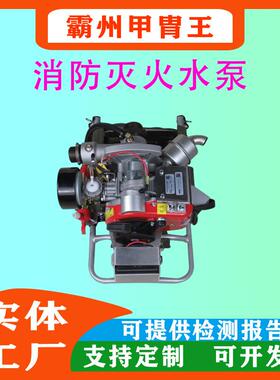 （希尔）Fyr Pak背负式森林消防泵8马力两冲程高扬程消防泵
