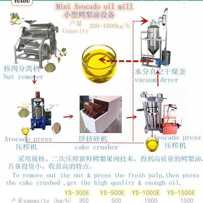 鳄梨牛油果榨油设备,成套鳄梨牛油果油机器设备 avocado oil mill