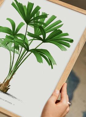 简北约欧画现代客厅挂小清新绿背景自JA240005然装饰画原木风清新