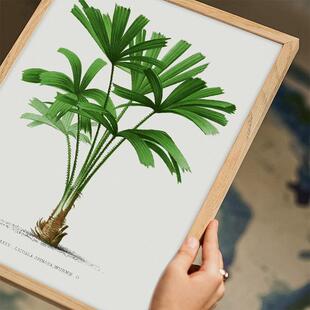 简北约欧画现代客厅挂小清新绿背景自JA240005然装饰画原木风清新