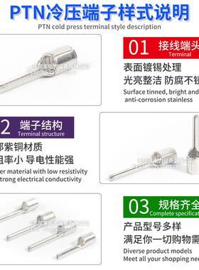 PTN/无品牌/PTV.25-110/.25-13/2-1裸8/5.5-13针1型端子线鼻紫铜