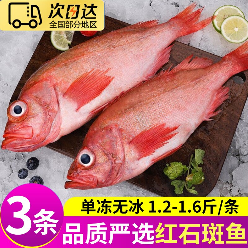 红石斑鱼鲜活冷冻海鱼大鱼新鲜大号红斑鱼龙胆富贵鱼海鲜水产顺丰