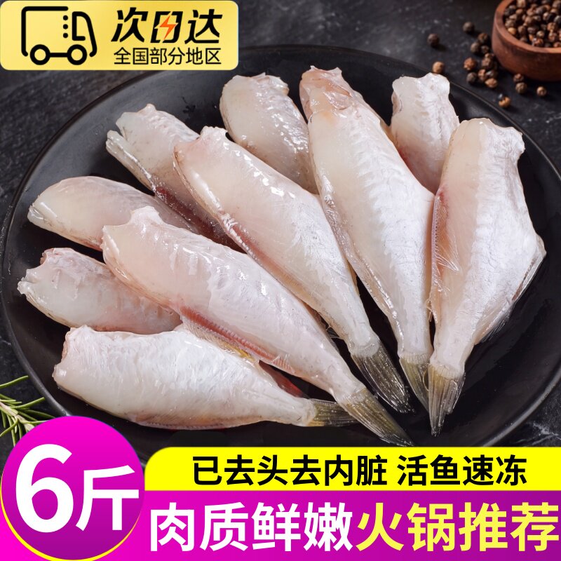 耗儿鱼新鲜冷冻扒皮鱼6斤小号商用整箱火锅中大马面鱼剥皮鱼海鲜