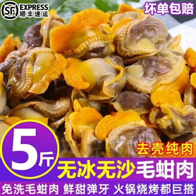 冷冻毛蛤蜊肉整箱顺丰