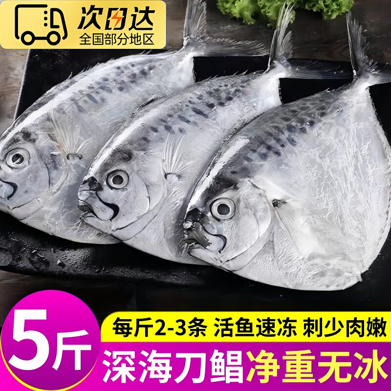 大海十三新鲜冷冻野生刀鲳鱼海鱼