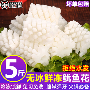 目鱼花新鲜冷冻鱿鱼花墨鱼花鱿鱼卷海鲜生鲜商用海鲜水产整箱批发