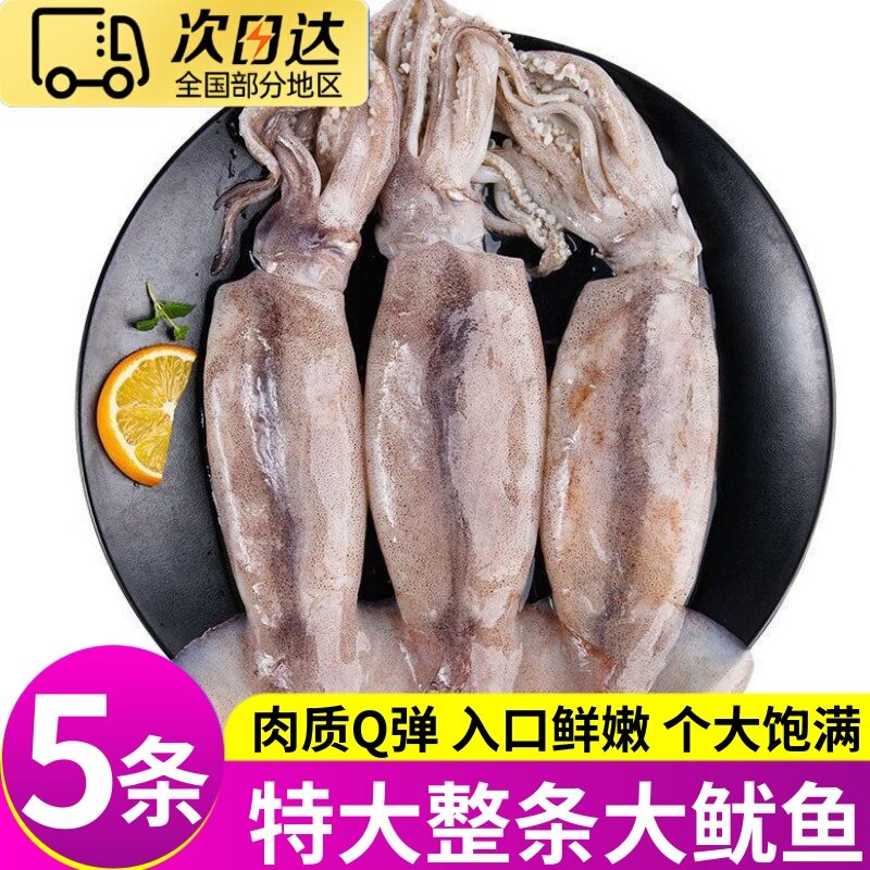 限时特价超大冷冻整只铁板鱿鱼