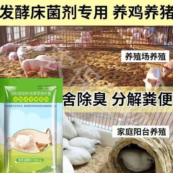 发酵床专用菌剂垫料除臭家庭阳台养鸡芦丁鸡仓仓鼠养猪发酵床菌剂,农用物资,微生物除臭剂,淘宝优惠券,粉丝福利购,淘宝优惠卷