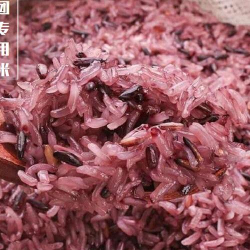 台湾饭团专用米 商用饭团米  糍饭团材料 白糯混合血糯米紫糯米