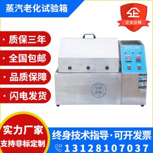 SR蒸汽老化试验机水汽加速老化寿命试验箱电子元件电镀水煮测试仪