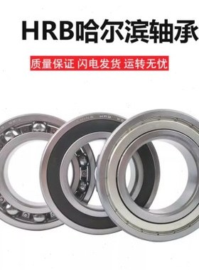 HRB哈尔滨轴承6313/6314/6315/6316 ZZ/2RZ 高速电机轴承胶盖铁封
