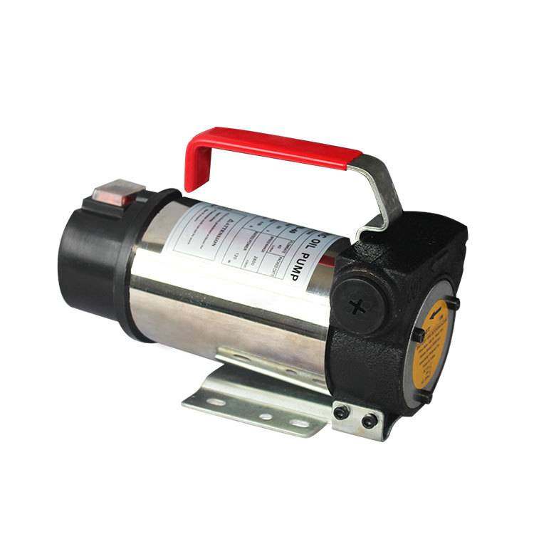 奥诚ACTP40微型220V电动抽油泵 吸油泵柴油泵抽水泵 车载加油泵,鲜花速递/花卉仿真/绿植园艺,割草机/草坪机,淘宝优惠券,粉丝福利购,淘宝优惠卷