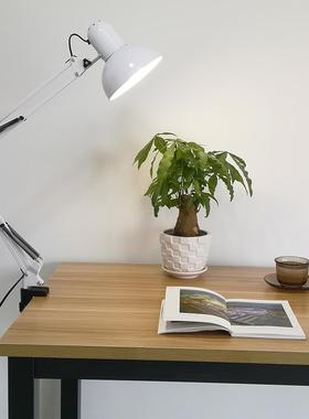 2ILED长臂折叠美式护眼学习台灯夹子卧室床头美甲工作拍摄主