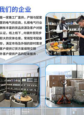 切换不断电双电源自动转换开关NLQ4-125/2P毫秒级63A100A市电230V