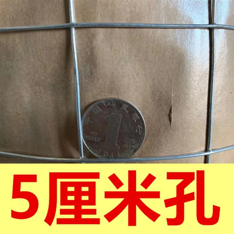 速发厂促热镀锌铁丝网围栏电焊网B养殖鸡钢丝网格阳台防护小孔防