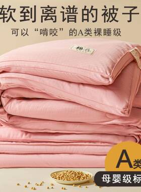 A类母婴级原棉提花大豆纤维被子被芯加厚保暖春秋被冬被四季通用
