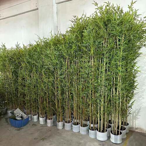 仿真竹绿植落地植物盆无室内客庭厅院造景盆仿真竹子景盆栽