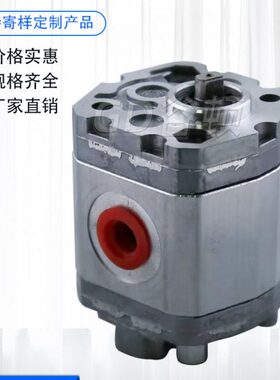 叉车齿轮泵0PF0.75L06B01/0PF0.38L06B01/0PF0.5L06B01/F1.75油泵