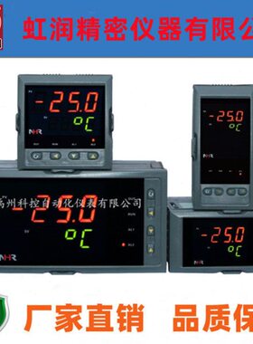 虹润仪表NHR-1100A-27 55-X/1/P-A NHR-1100C B D E F温控仪器数